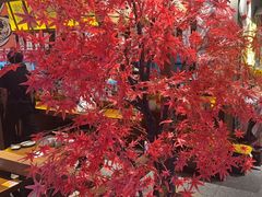 -白石的深夜食堂(济南万象城店)