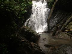 -江西阳明山国家森林公园