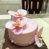 母亲节快乐～甜蜜蛋糕时刻
