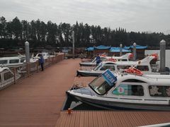 -鄱阳湖国家湿地公园