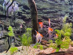 -上海海洋水族馆