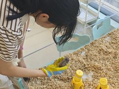 -怪兽屋·羊驼·猫咖·狗咖(俊华广场店)