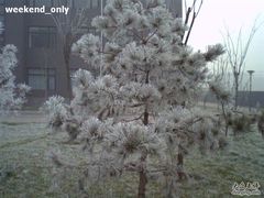 -北京工商大学(良乡校区)