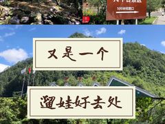 -牛背梁国家森林公园