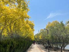 -南翠屏公园