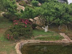 -秀丽东方