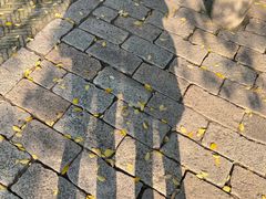 -苏州碑刻博物馆