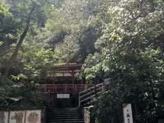 -鼎湖山风景区