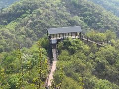 -大岭沟猕猴桃谷风景区