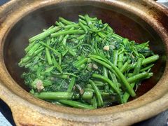 啫啫煲虾酱空心菜-熠盛粤味·顺德桑拿鸡(永康路店)