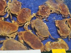 -阿浪海鲜连锁加工店(B栋2排1号火车头店)