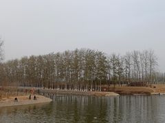 -马家湾湿地公园