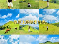 -大姆山草场