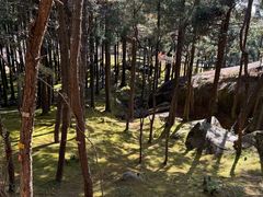 -玉苍山国家森林公园