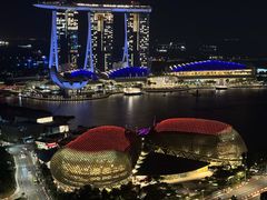 -新加坡瑞士史丹福酒店