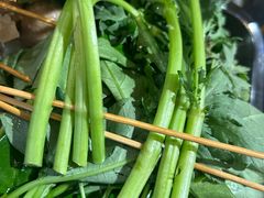 -钢管厂五区小郡肝火锅串串香(总店)