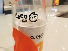 -CoCo都可(卓展店)