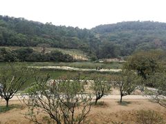 -南国桃园旅游度假区