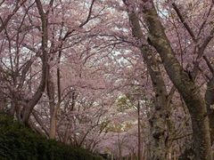 -成都濑川外国语学校