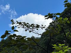 -萍乡武功山风景名胜区