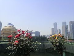 -钱江新城