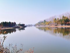 -合肥滨湖国家森林公园