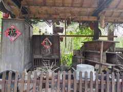 -合肥滨湖国家森林公园