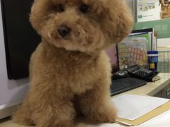 -佳雯宠物医院(四明中路分院)