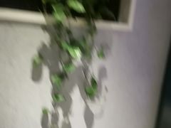 -世外桃源水疗会(皇庭彩园店)