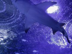 -常州海昌海洋探索馆