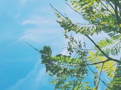 -添福来墨鱼饺子 · 海鲜东北菜(大连星海·黄浦路店)