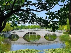 -大连植物园