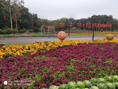 -雀儿山公园