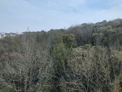 -普陀山风景区-佛顶山