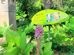 -广州神农草堂中医药博物馆