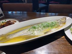 清蒸太湖白鱼-金枝玉叶上海人家食府(三里河店)