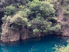 -大奇山国家森林公园