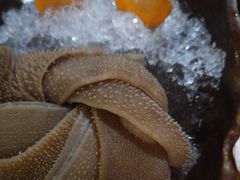 -湊湊火锅·茶憩(东城民盈国贸城店)