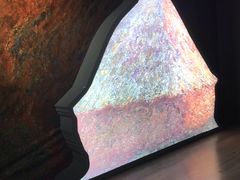 -印象莫奈时光映迹艺术展