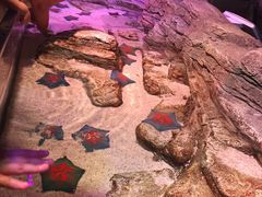 -沈阳海洋探索中心