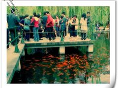 -西湖外事游船(花港观鱼码头)