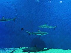 -华夏文旅西安度假区