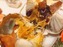 六月黄5种价格28-98元/只-黄记大闸蟹专卖店·活蟹·醉蟹