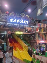 -卡通尼·Safari非洲探索乐园·生日会(金桥国际商业广场店)