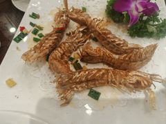 -长平肥姐白粥·海鲜打冷