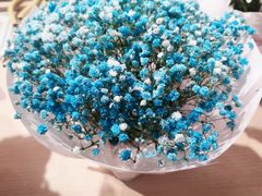 -双季花艺园艺市场(浦东店)