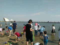 -碧海金沙