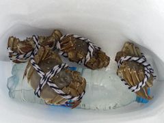 -小陆莲花蟹园农家乐(莲花岛店)