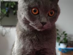 -上海市中医医院(芷江路院区)