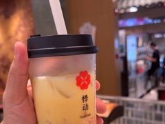 -悸动(吴泾宝龙广场店)